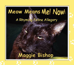 Cat book cover