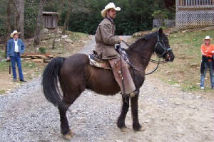 Wrangler on horseback